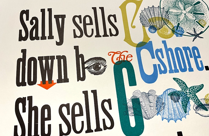 Cshells - 2